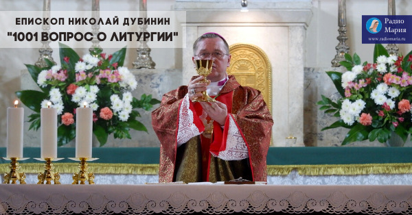 епископ Николай Дубинин «1001 вопрос о литургии»